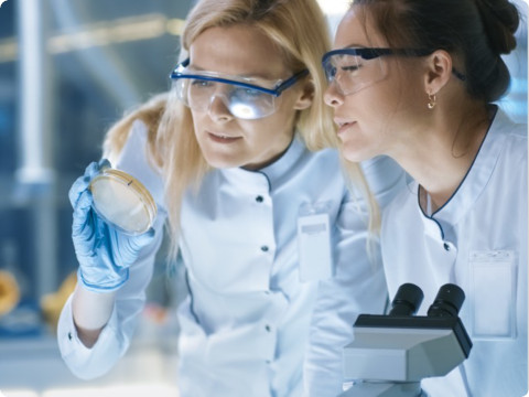 Two laboratory technicians looking at a Petrie dish