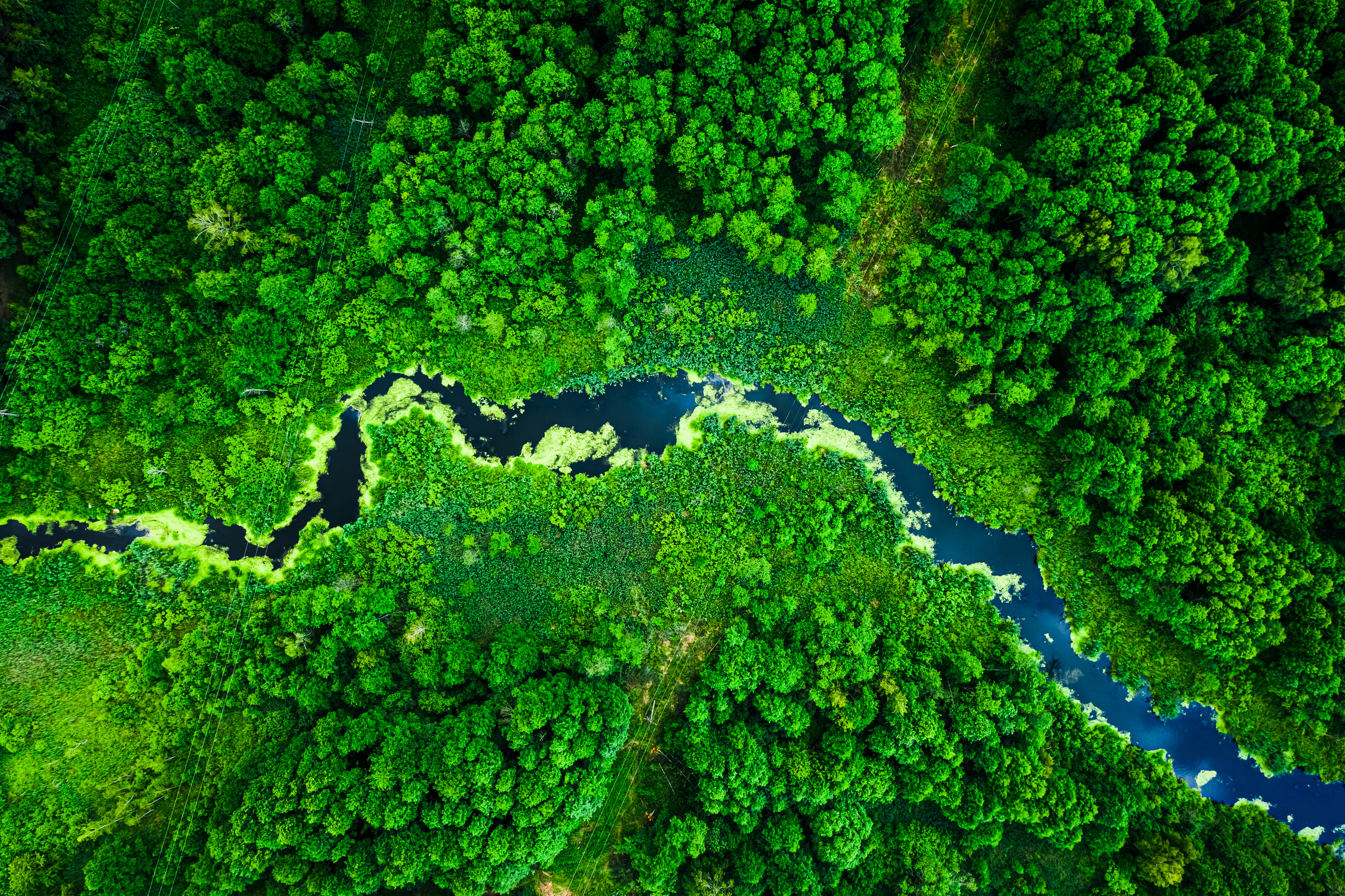 Aerial view of river winding thro