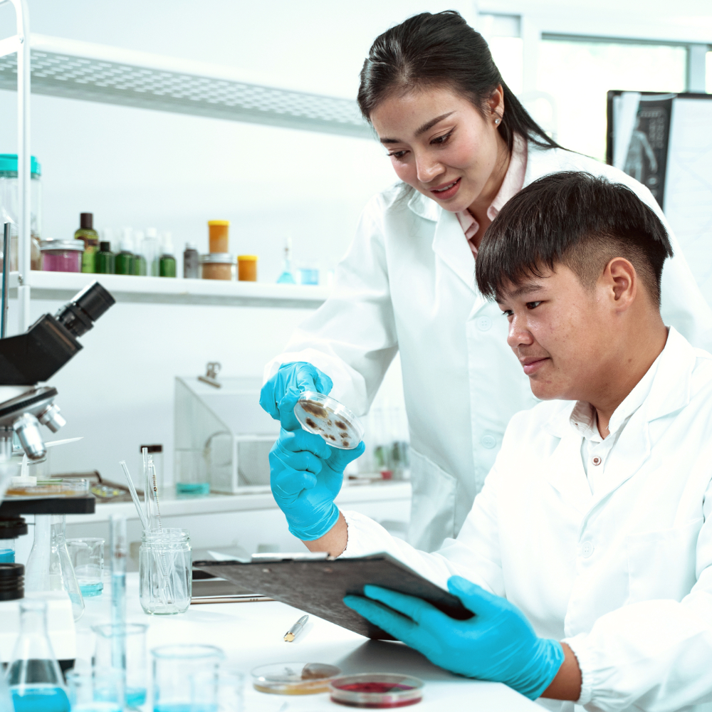Two scientists in lab coats and gloves are looking at a petri dish containing a culture, likely analyzing a sample or experiment.